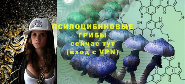 герыч Козельск