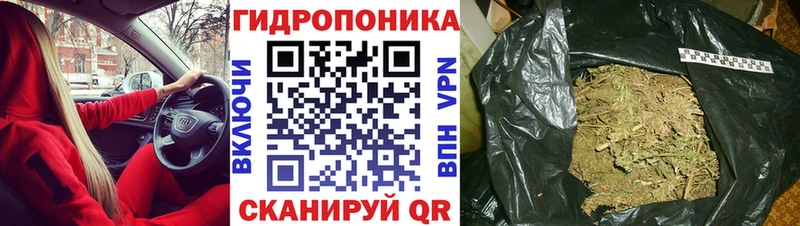 Купить  Обь  Канабис LSD WEED 